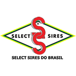 logo-sires